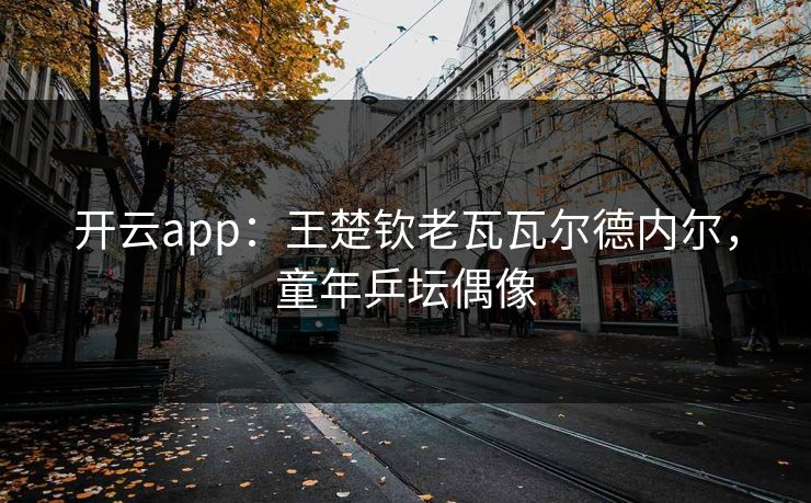 开云app:王楚钦老瓦瓦尔德内尔,童年乒坛偶像